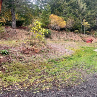 600 E Probert Road, Shelton, WA 98584