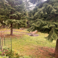 600 E Probert Road, Shelton, WA 98584