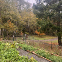 600 E Probert Road, Shelton, WA 98584