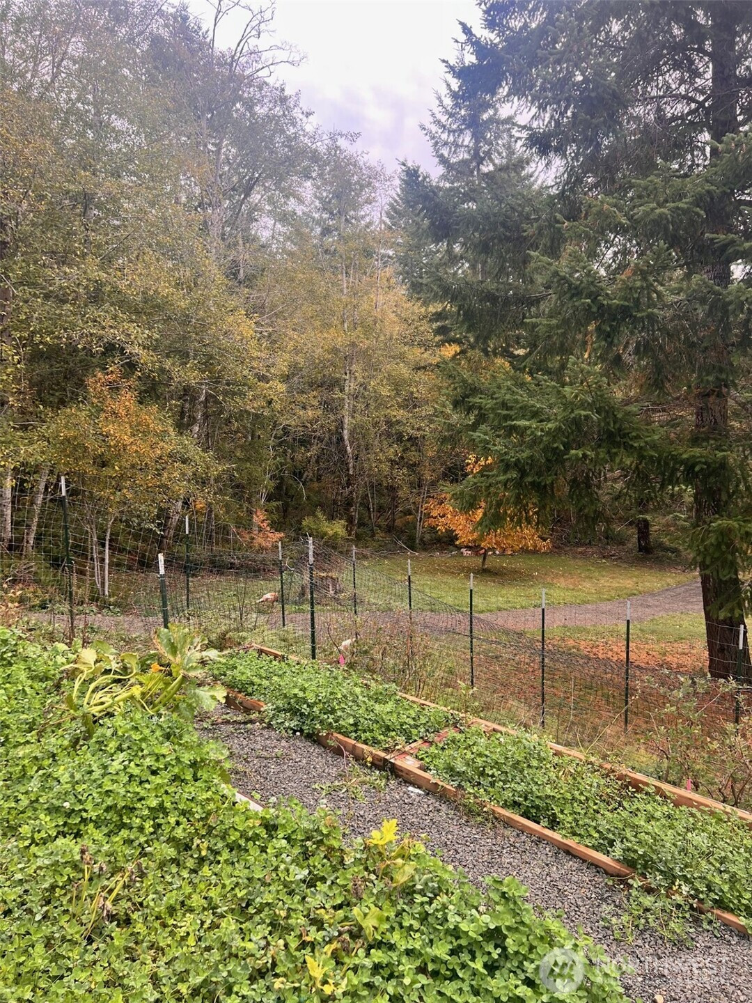 600 E Probert Road, Shelton, WA 98584