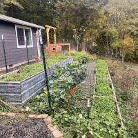 600 E Probert Road, Shelton, WA 98584