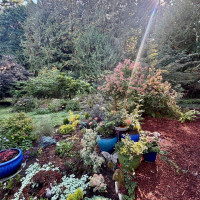 23987 Johnson Road NW, Poulsbo, WA 98370