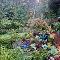 23987 Johnson Road NW, Poulsbo, WA 98370