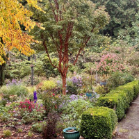 23987 Johnson Road NW, Poulsbo, WA 98370