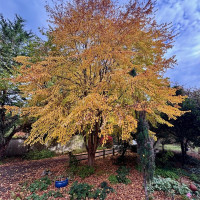 23987 Johnson Road NW, Poulsbo, WA 98370