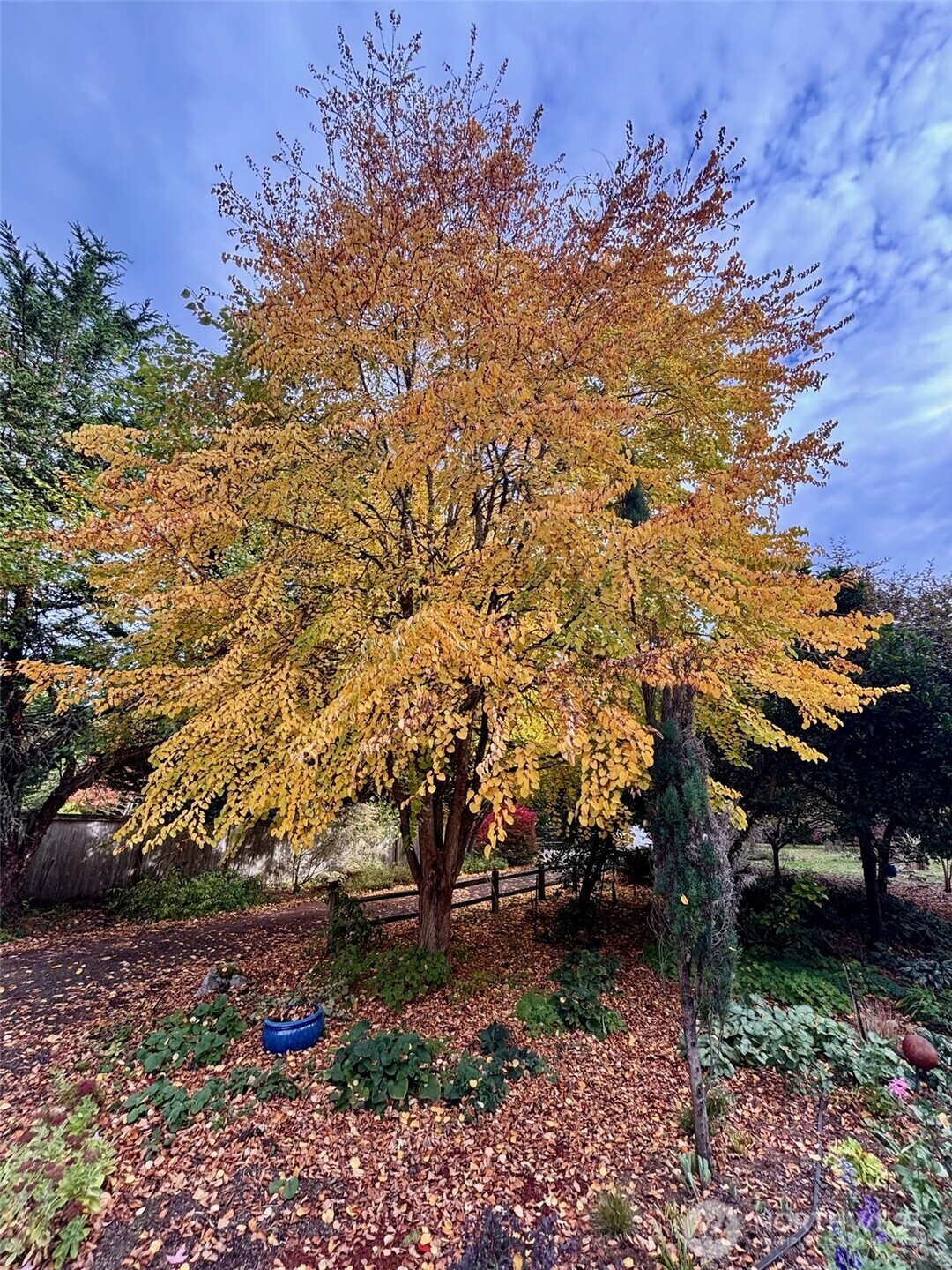 23987 Johnson Road NW, Poulsbo, WA 98370