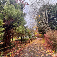 23987 Johnson Road NW, Poulsbo, WA 98370