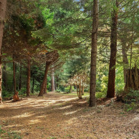 27407 94th Avenue SW, Vashon, WA 98070