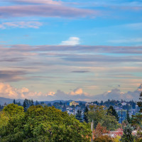 7721 Mary Avenue NW, Seattle, WA 98117