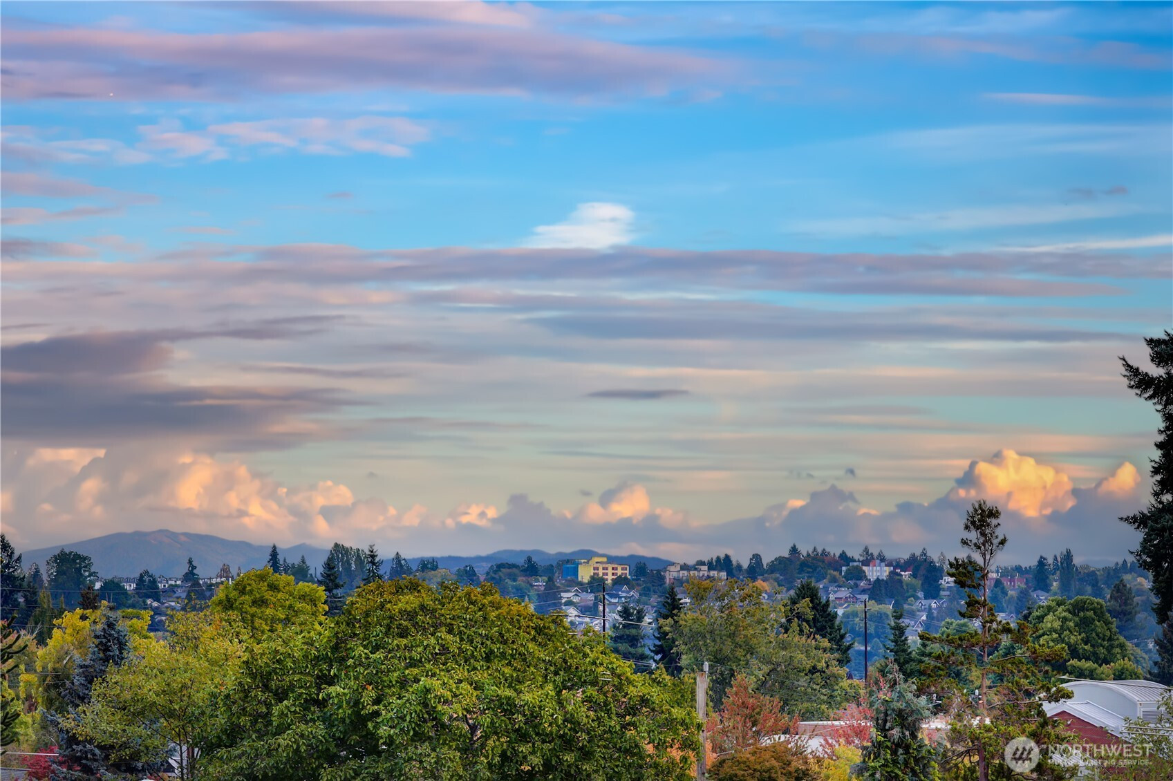 7721 Mary Avenue NW, Seattle, WA 98117