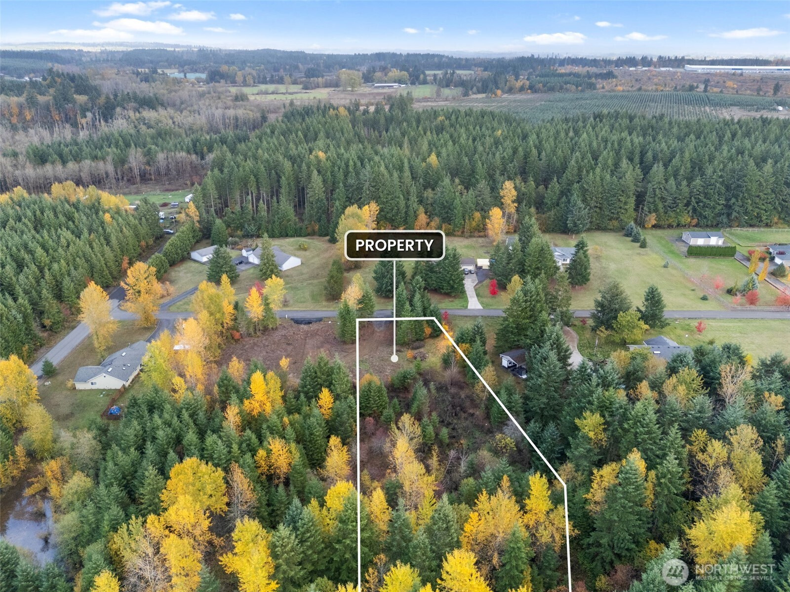112 Timberline Dr, Winlock, WA 98596