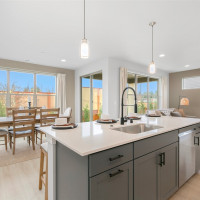 13329 SE 238th Place, Kent, WA 98042