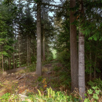 36 Dunbar, Port Ludlow, WA 98365