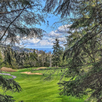 36 Dunbar, Port Ludlow, WA 98365