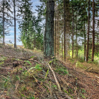 36 Dunbar, Port Ludlow, WA 98365