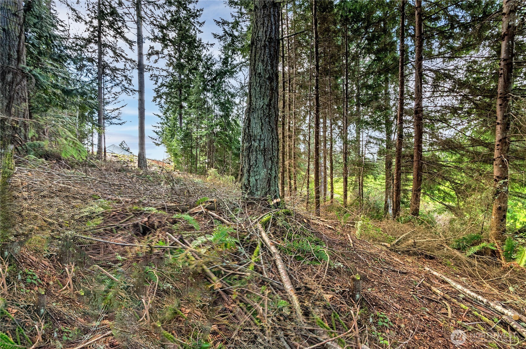 36 Dunbar, Port Ludlow, WA 98365