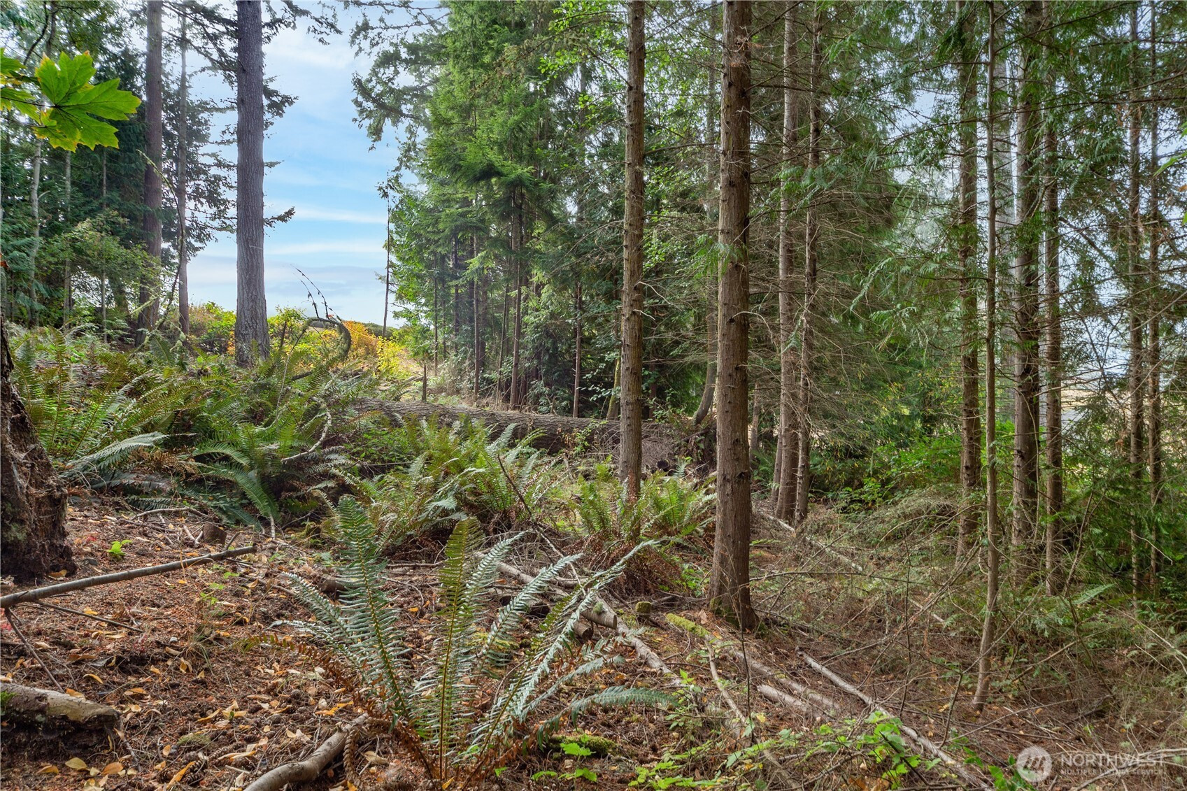 36 Dunbar, Port Ludlow, WA 98365
