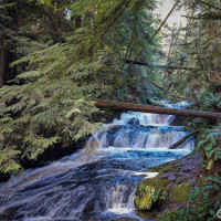 36 Dunbar, Port Ludlow, WA 98365