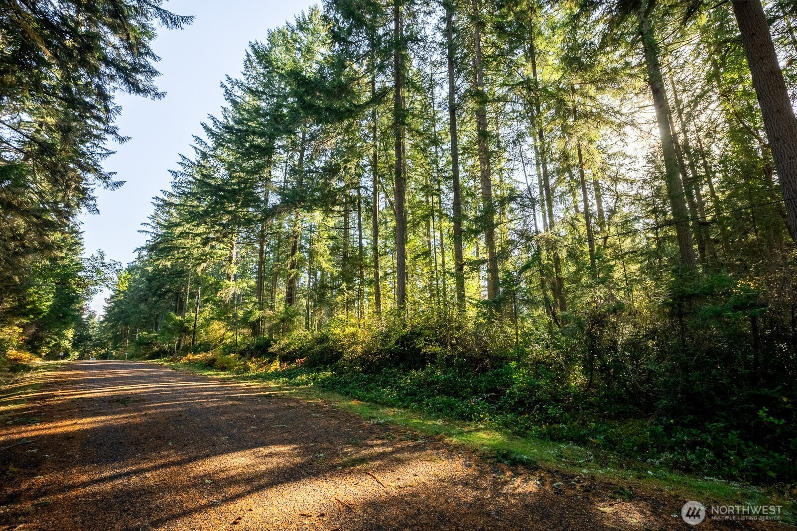 11324 Laurel Place, Anderson Island, WA 98303