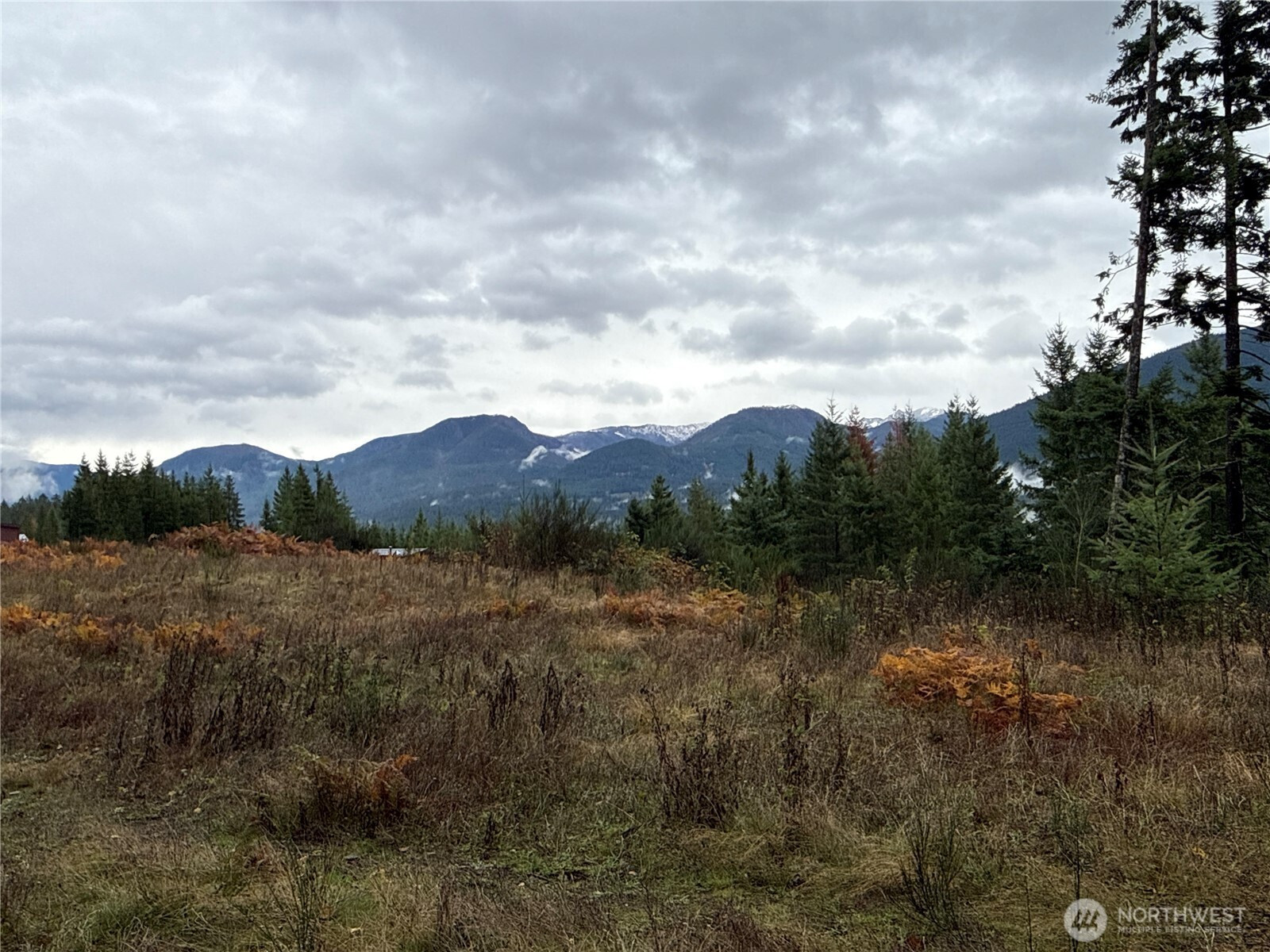 2 XX Forest Road 52, Packwood, WA 98361