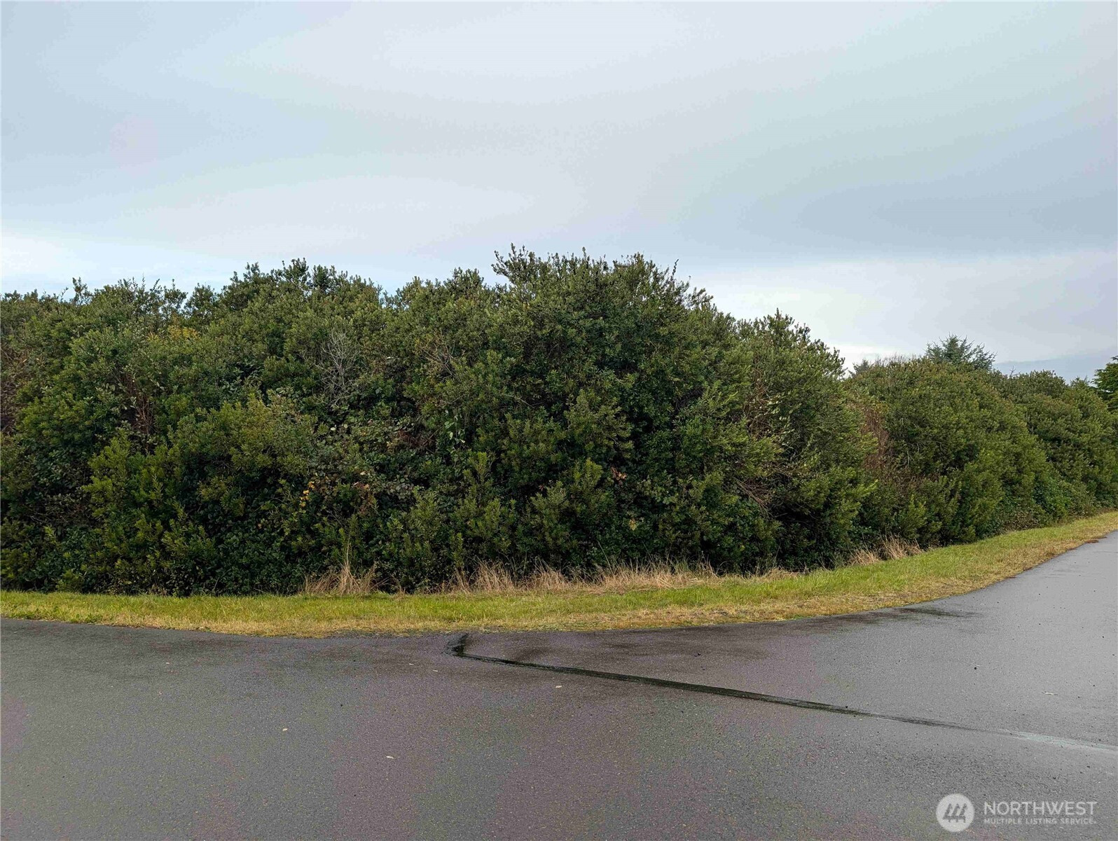 446 Salina Cruz Avenue, Ocean Shores, WA 98569