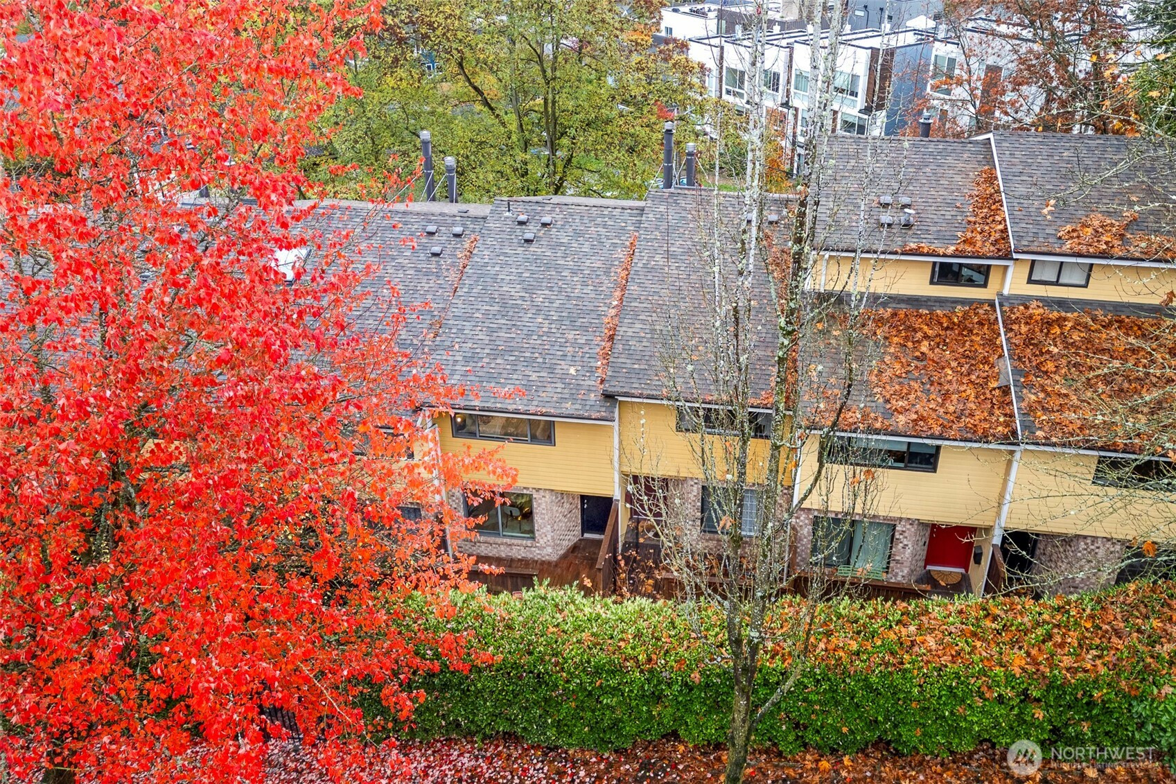 2591 E Madison Street, Seattle, WA 98112