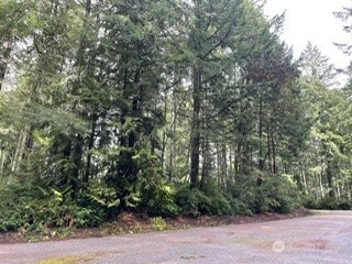 11307 114th Street Ct, Anderson Island, WA 98303