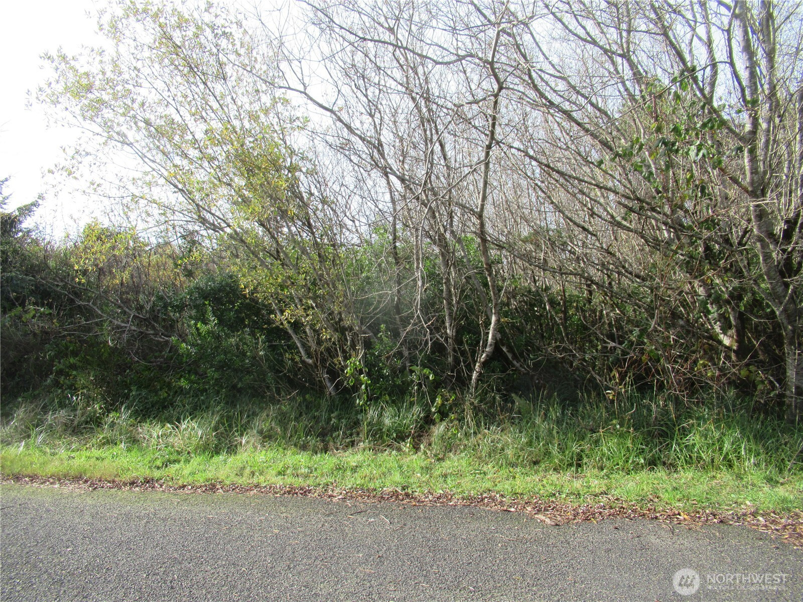 12 Driftwood Drive, Ocean Shores, WA 98569