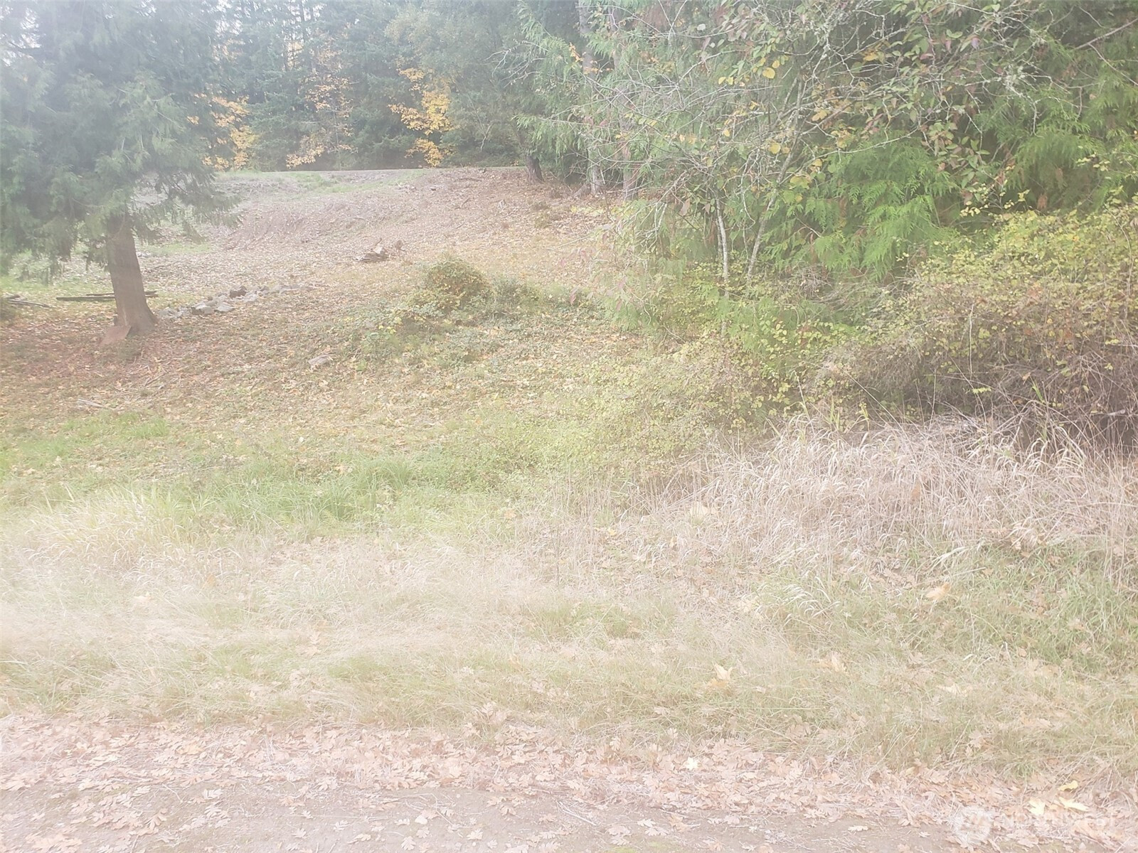 333 Grade Street, Kelso, WA 98626