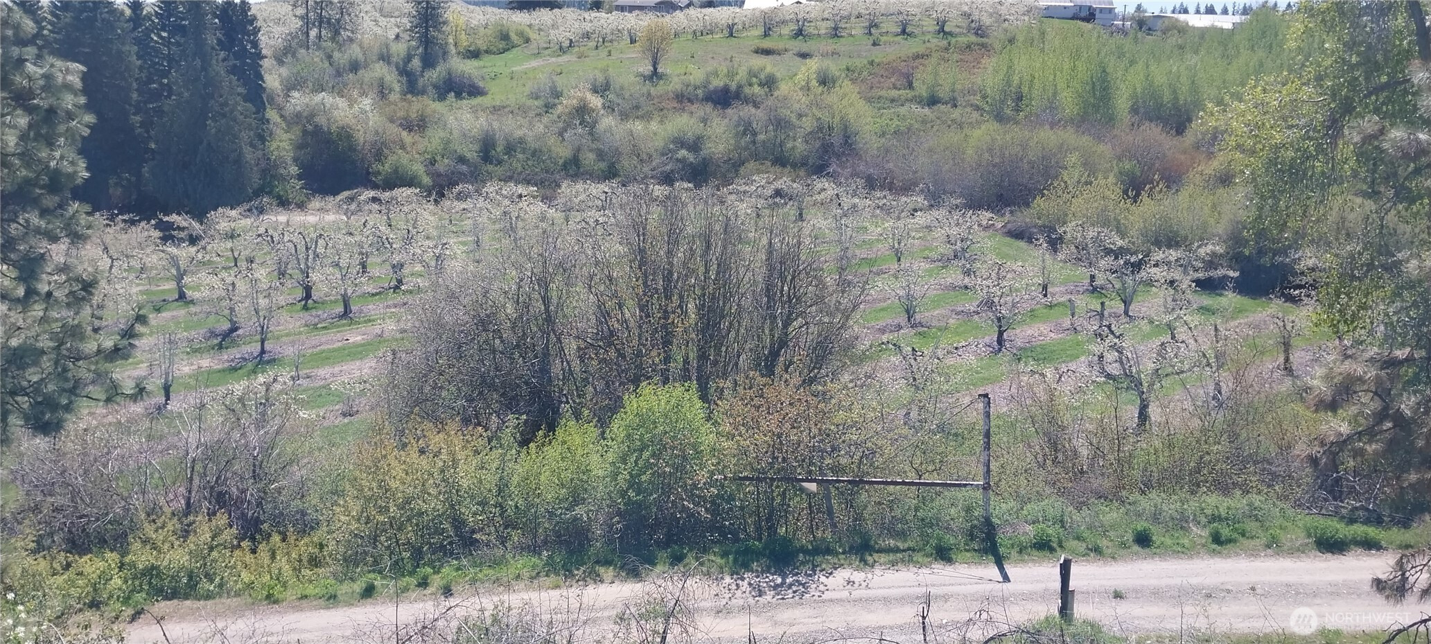 8010 Green Rd, Peshastin, WA 98847