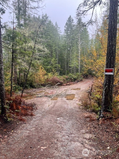 0 Tract 15 Dewatto Hills Road, Belfair, WA 98528