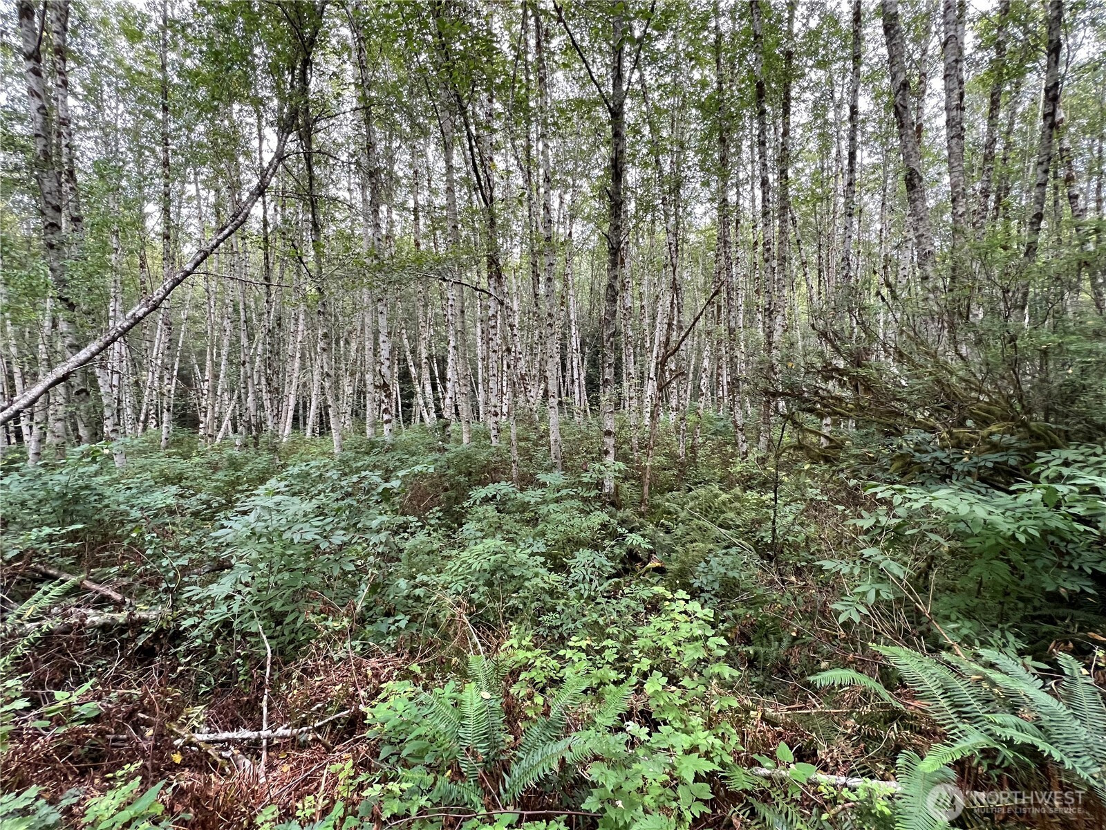 4 XX Scenic Drive, Poulsbo, WA 98370