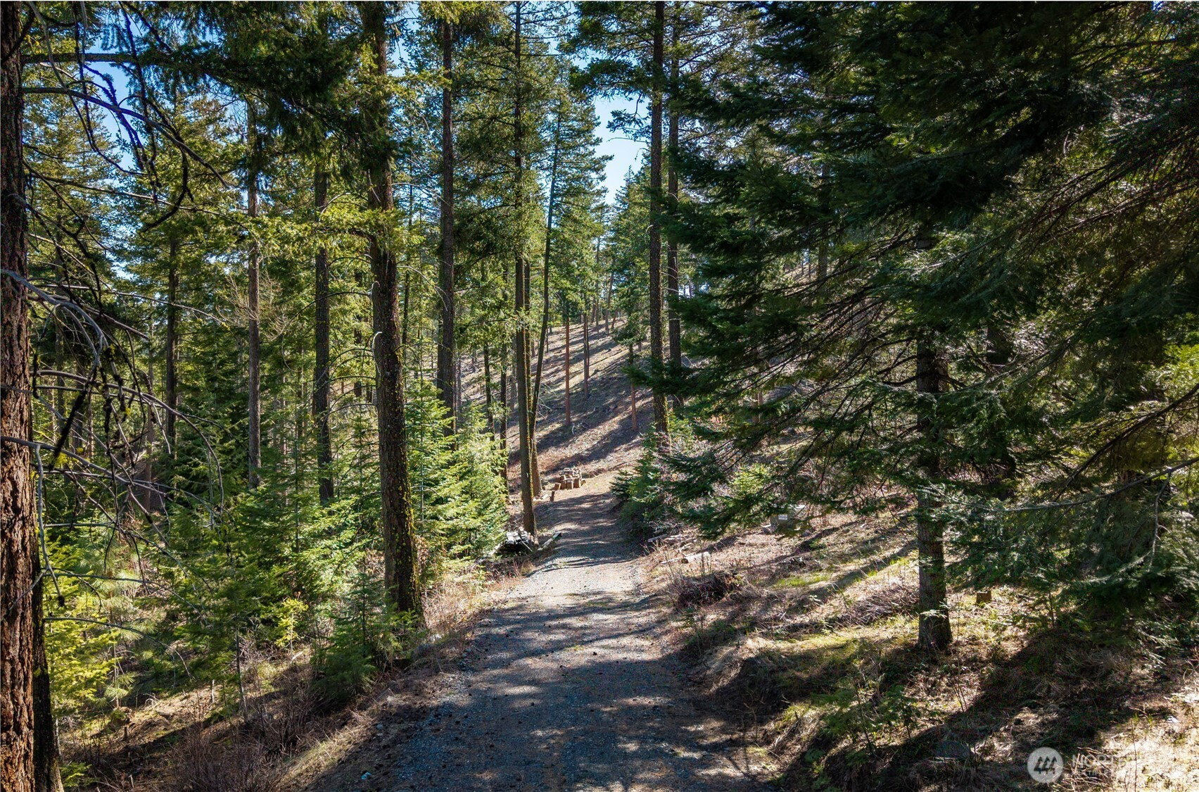 6761 Forest Ridge Drive, Wenatchee, WA 98801