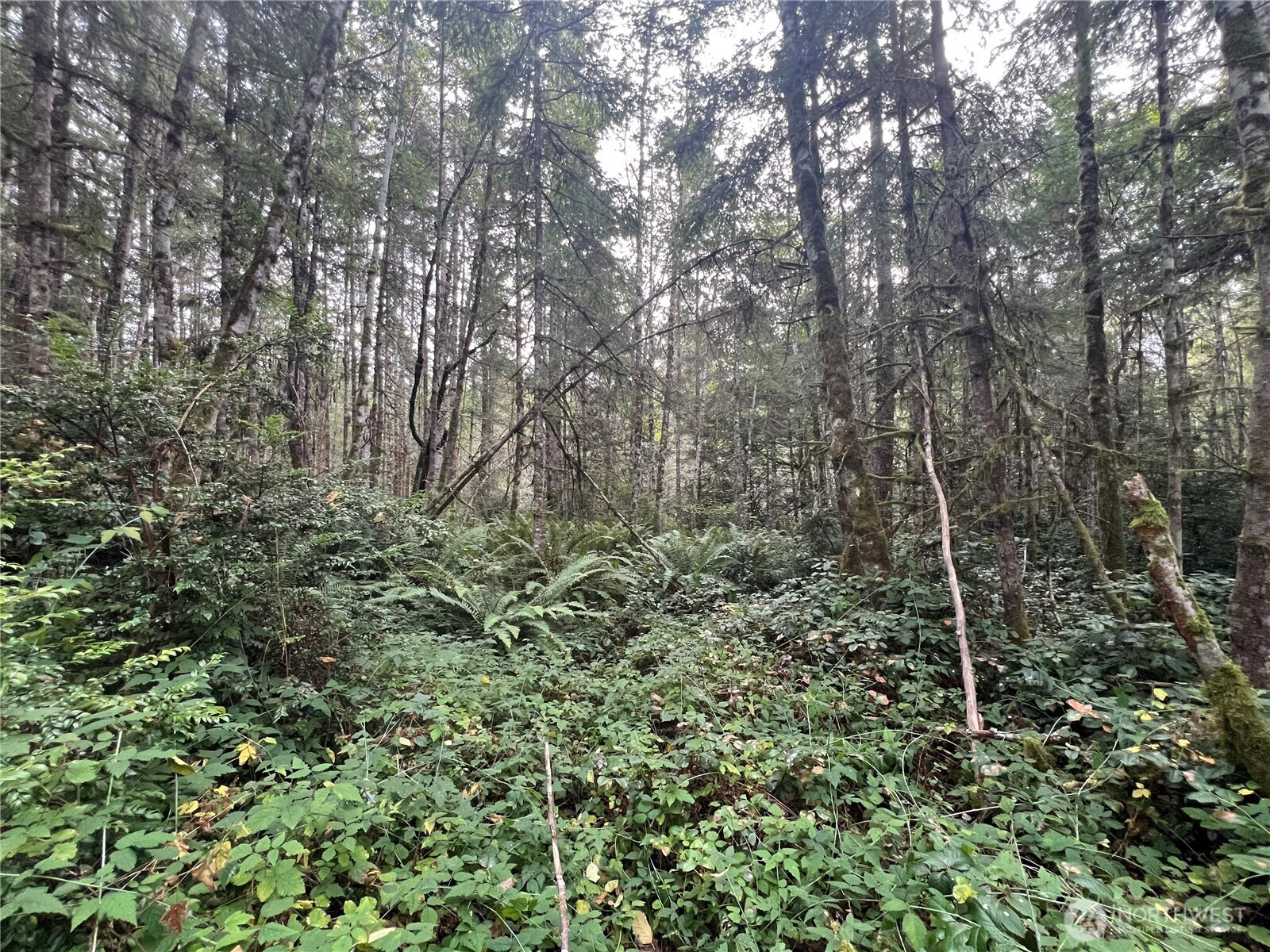 2 XX View Drive NE, Poulsbo, WA 98370