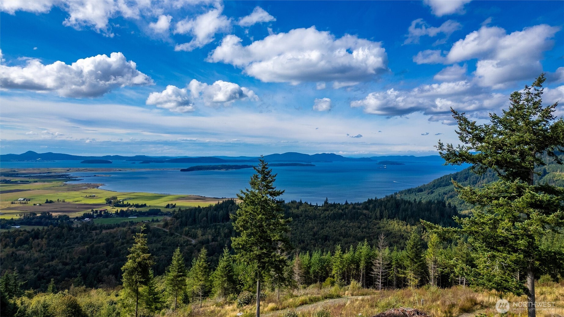 3120 Blanchard Knob Trail, Bow, WA 98232