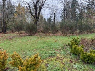 0 208th Place NE, Woodinville, WA 98077