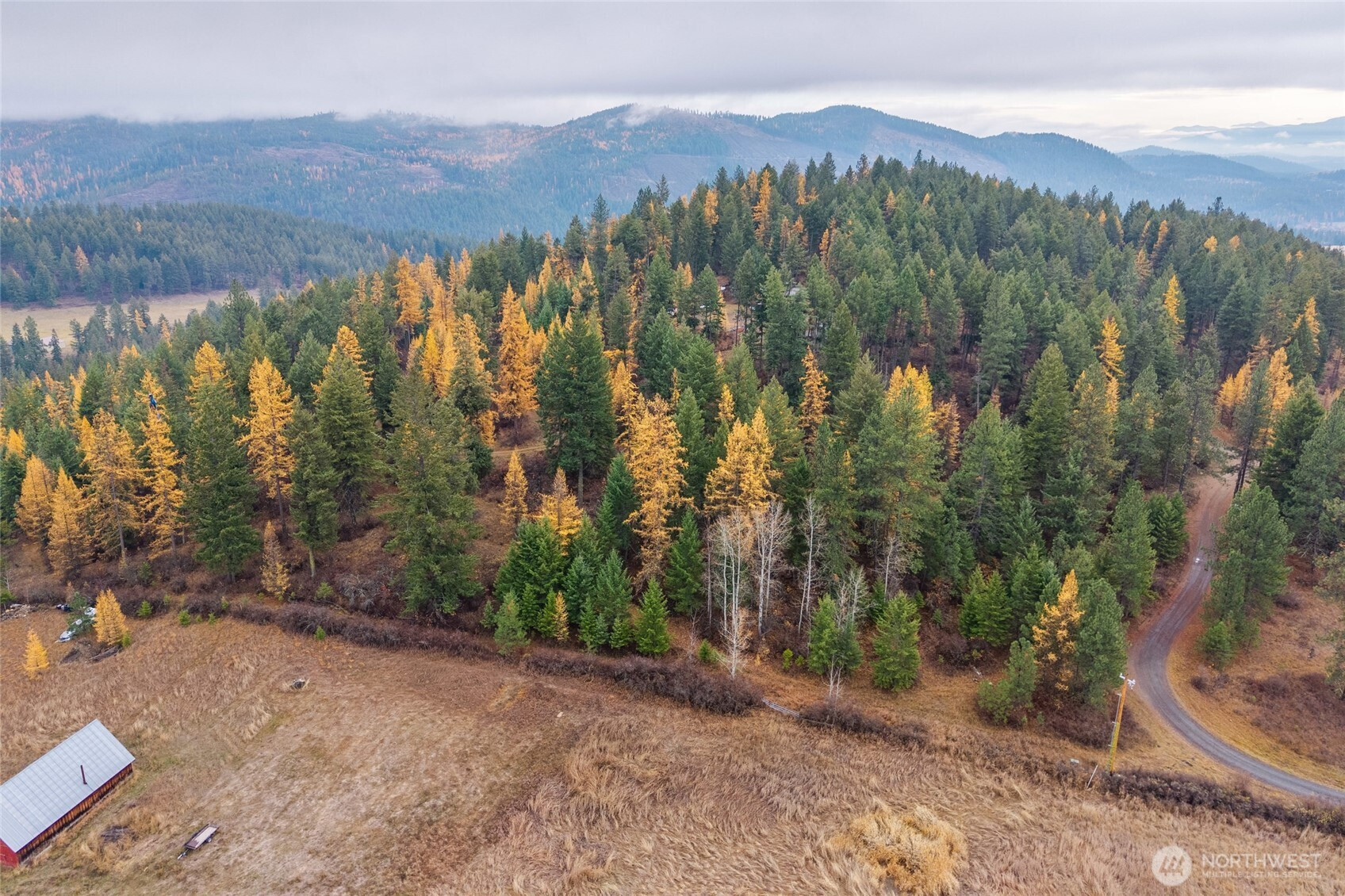 700 L Dry Gulch Road, Colville, WA 99114