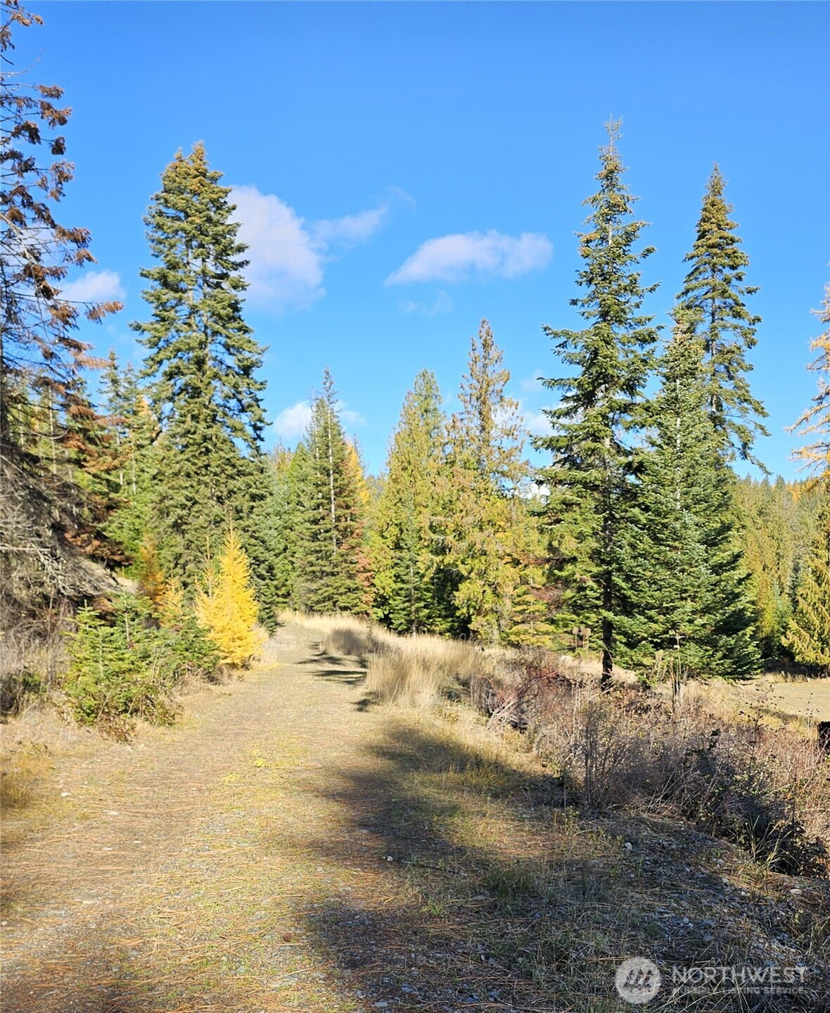 717 B Finley Gulch Road, Colville, WA 99114