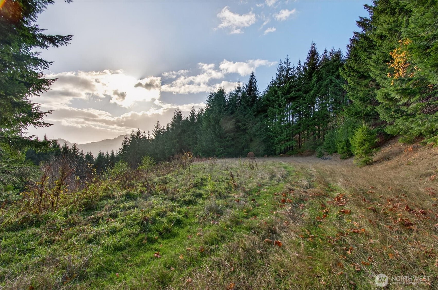 0 Knightsbridge Road, Amboy, WA 98603