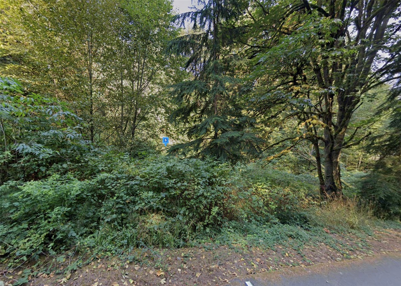 8865 SE Prospect Drive, Olalla, WA 98359