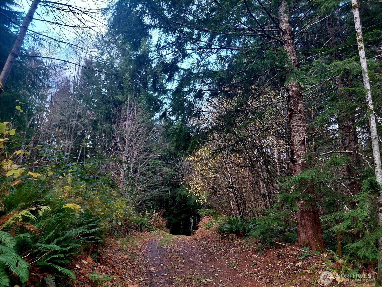 0 Lot 9 Old Barn Road, Randle, WA 98377