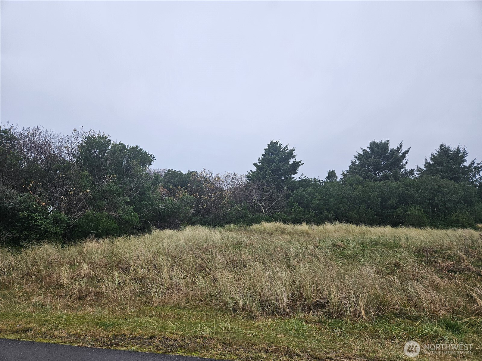 486 Moose Court SW, Ocean Shores, WA 98569