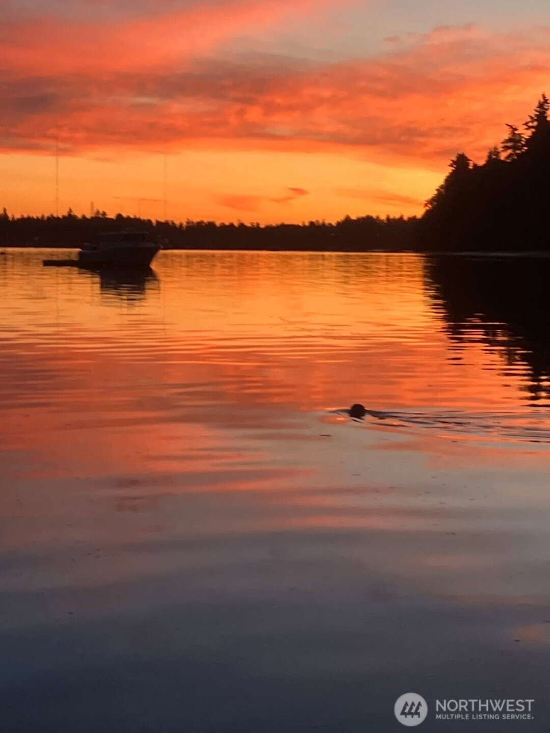 24410 Vashon Highway SW, Vashon, WA 98070