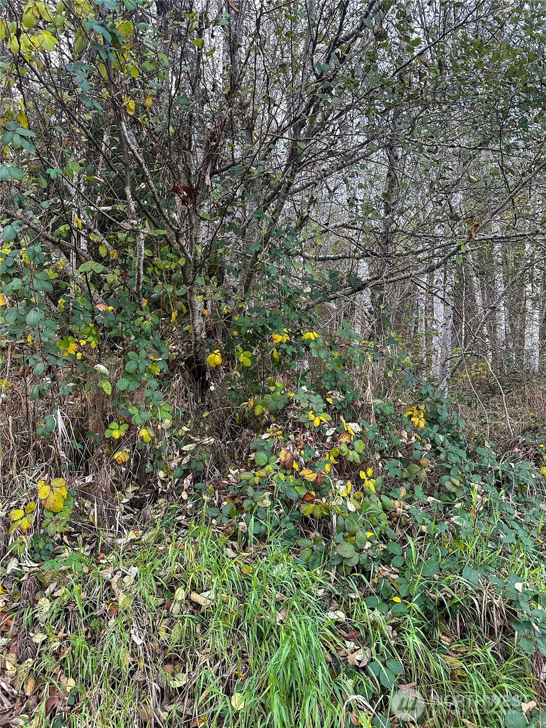 7615 Sprucecrest Street SW, Olympia, WA 98512