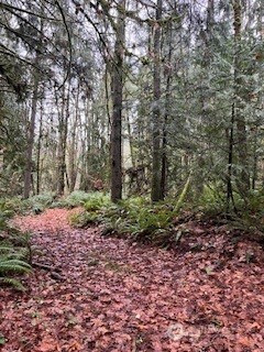 0 Glenwood Road SW, Port Orchard, WA 98366