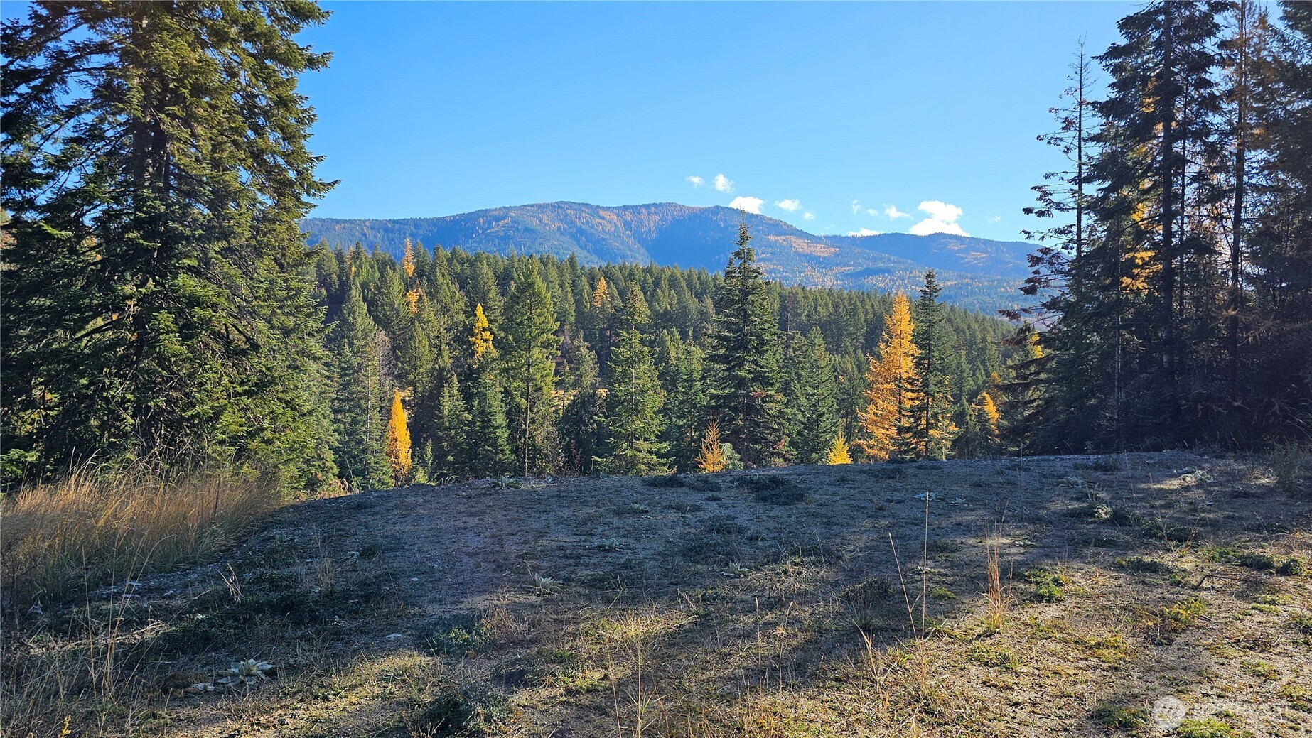 717 C Finley Gulch Rd., Colville, WA 99114