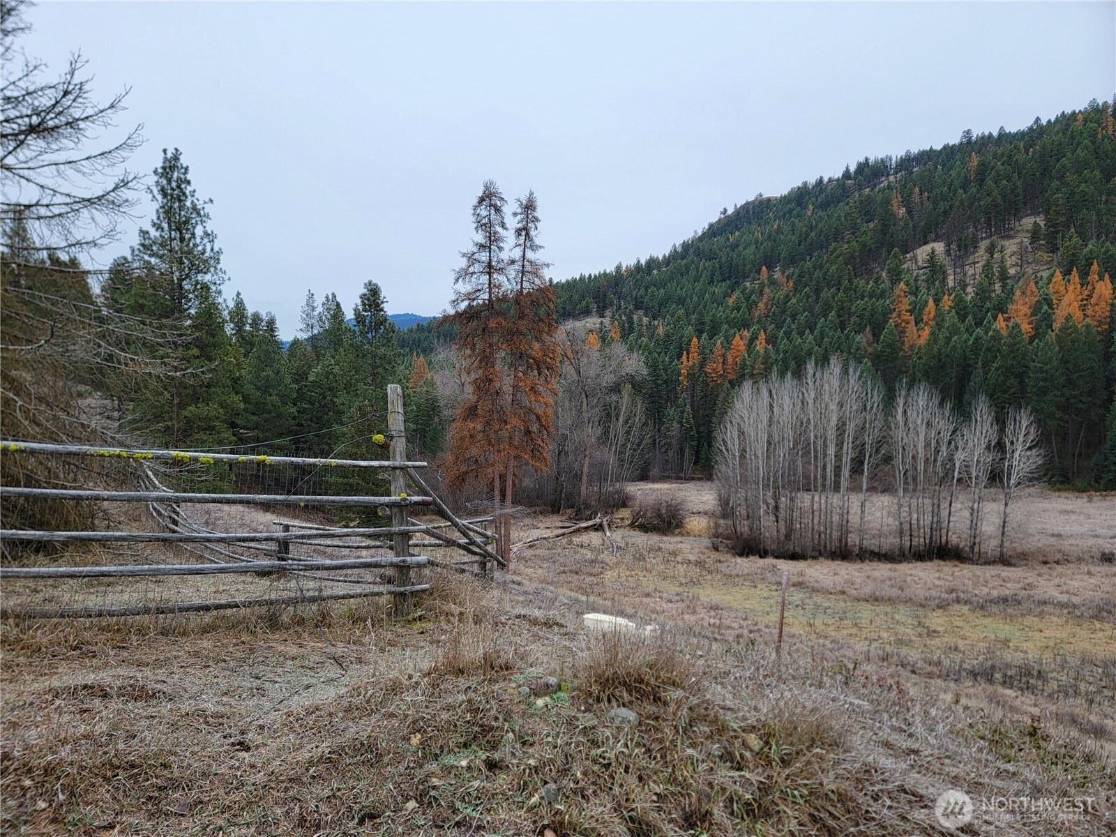 20 Haag Road, Wauconda, WA 98859