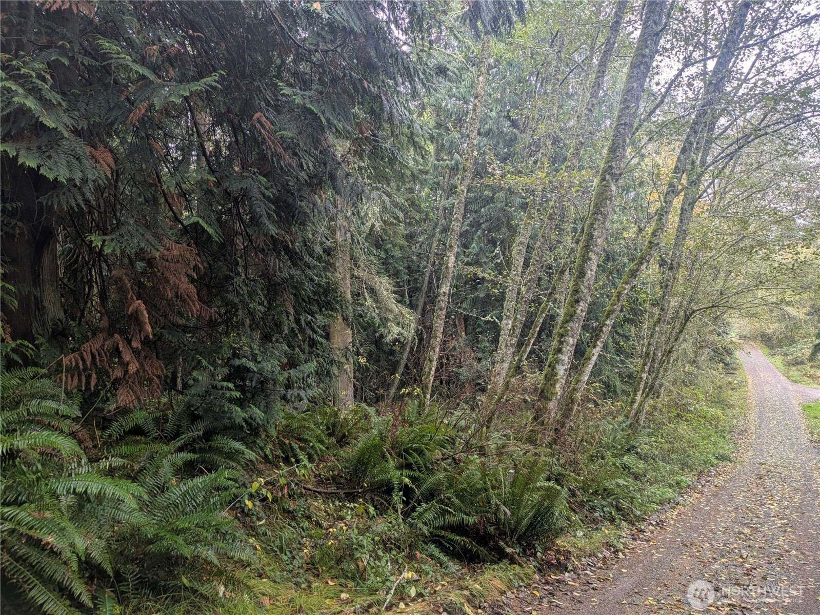 0 XXX Sorrel Lane, Clinton, WA 98236