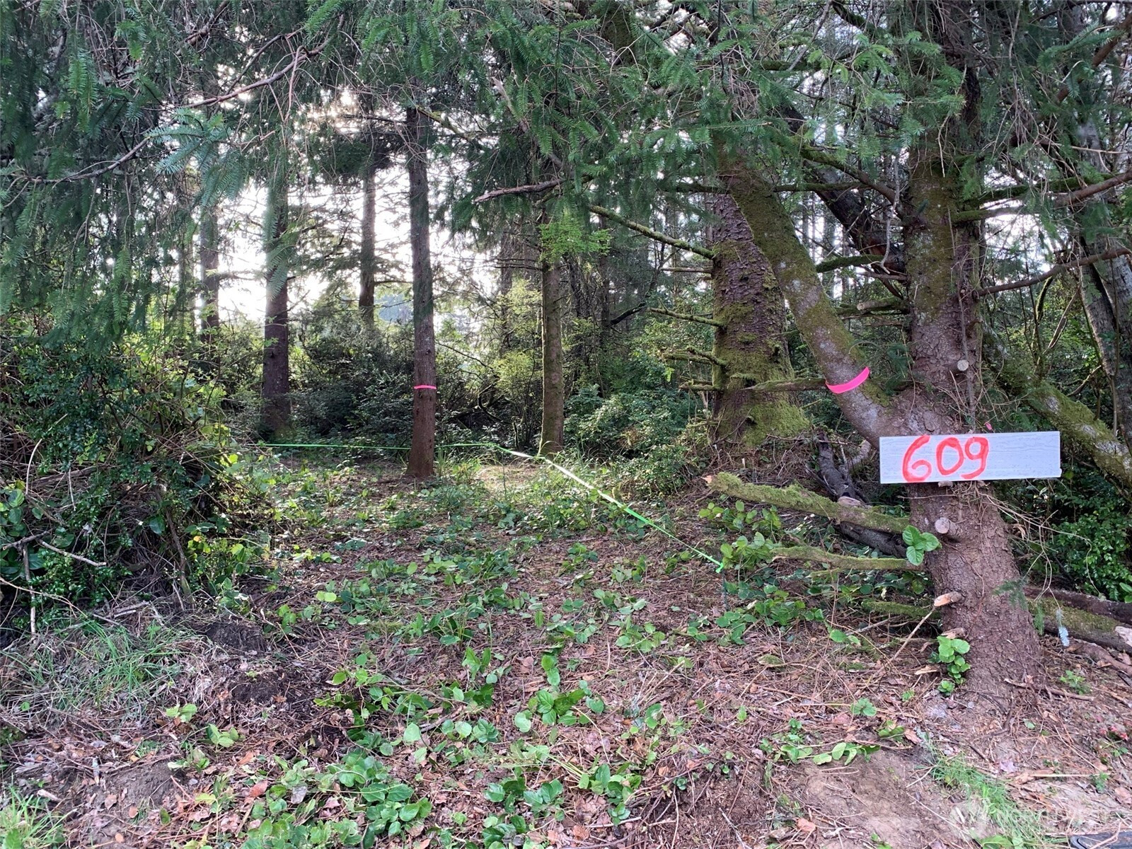 609 Weatherwax Loop, Ocean Shores, WA 98569