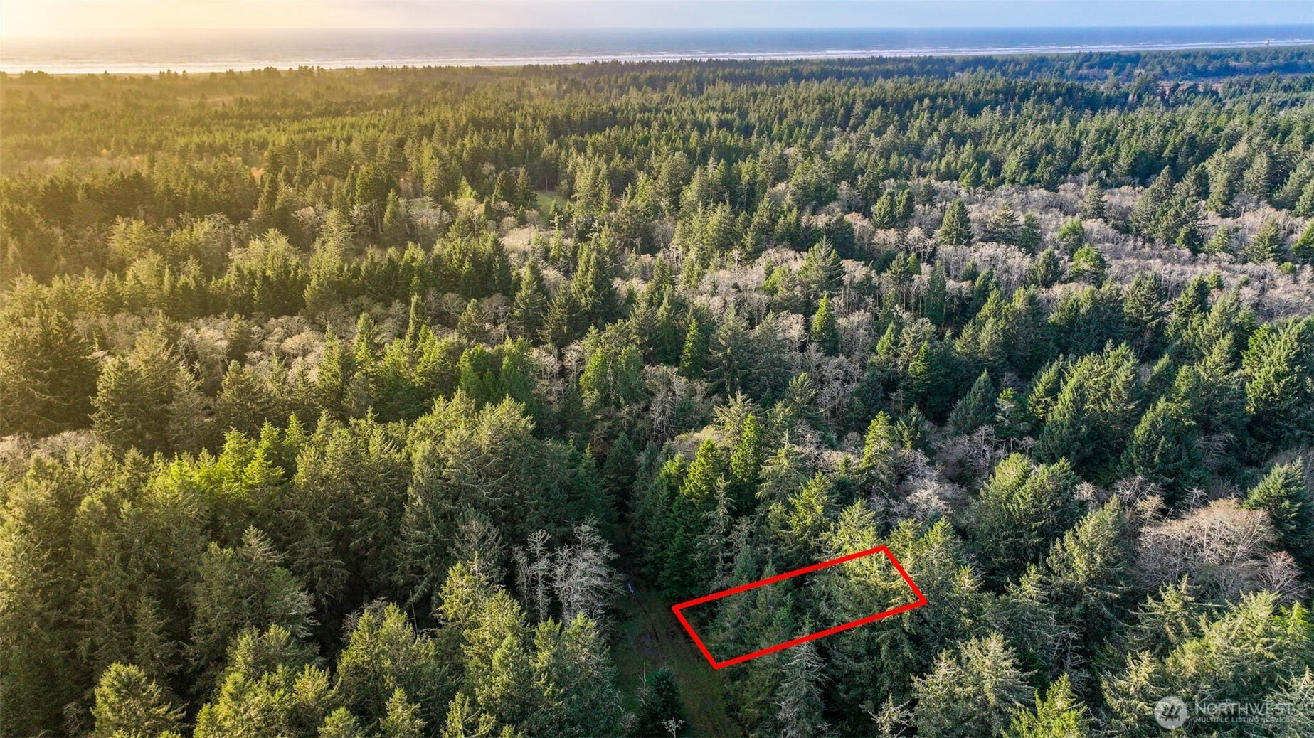 13 357th Lane, Ocean Park, WA 98640